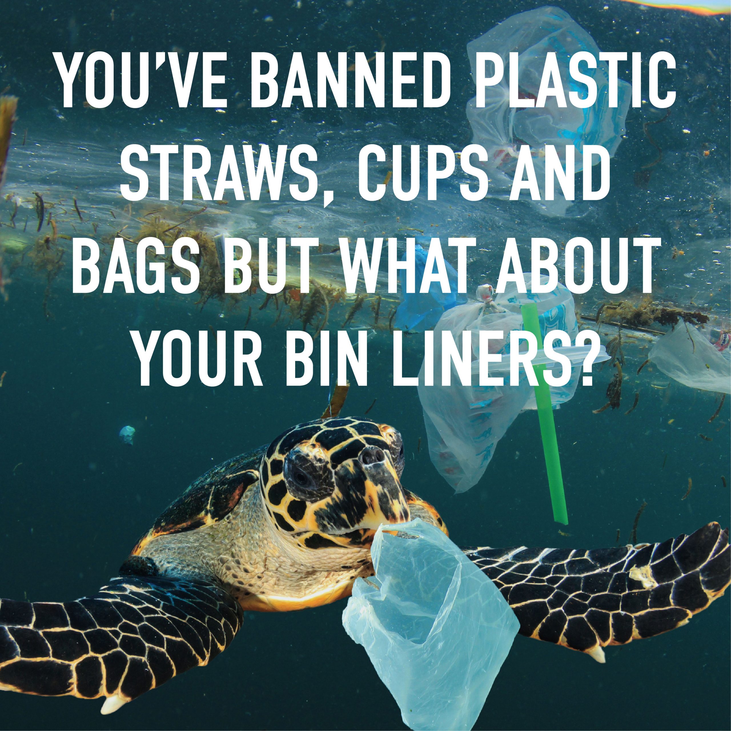 youve banned plastic straws cups and bags but what about bin liners